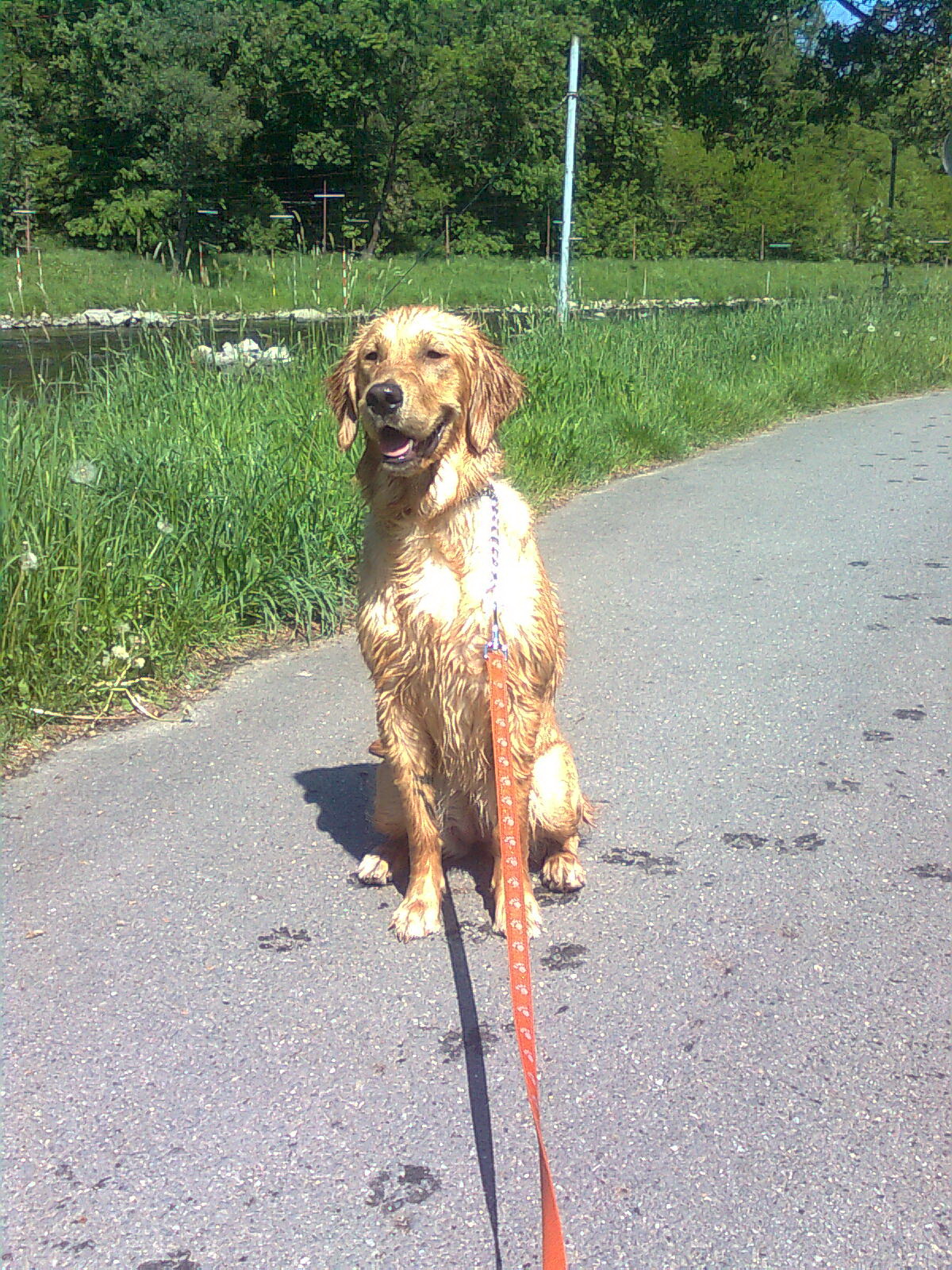 Obraz0614